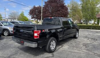 2019 Ford F-150 XLT SuperCrew Cab full
