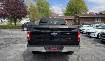 2019 Ford F-150 XLT SuperCrew Cab full