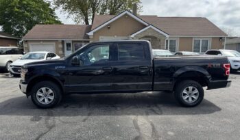 2019 Ford F-150 XLT SuperCrew Cab full