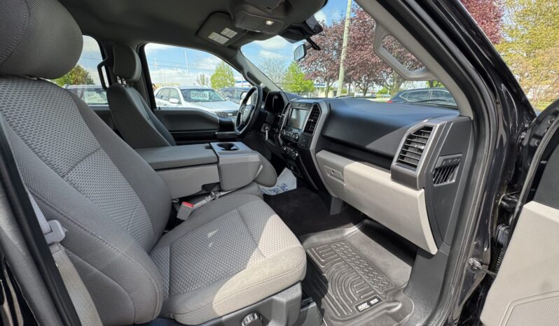 2019 Ford F-150 XLT SuperCrew Cab full