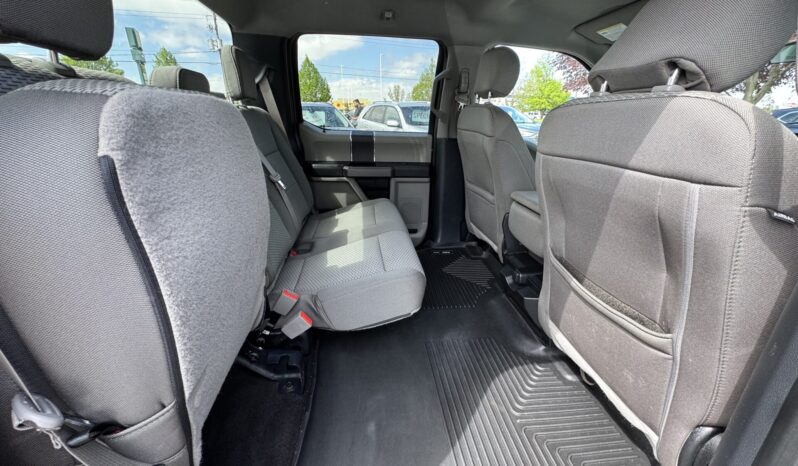 2019 Ford F-150 XLT SuperCrew Cab full