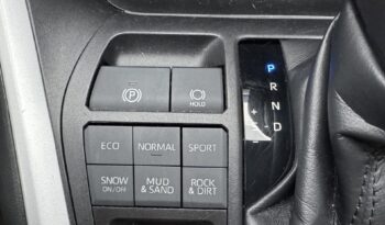 2023 Toyota RAV4 LE full