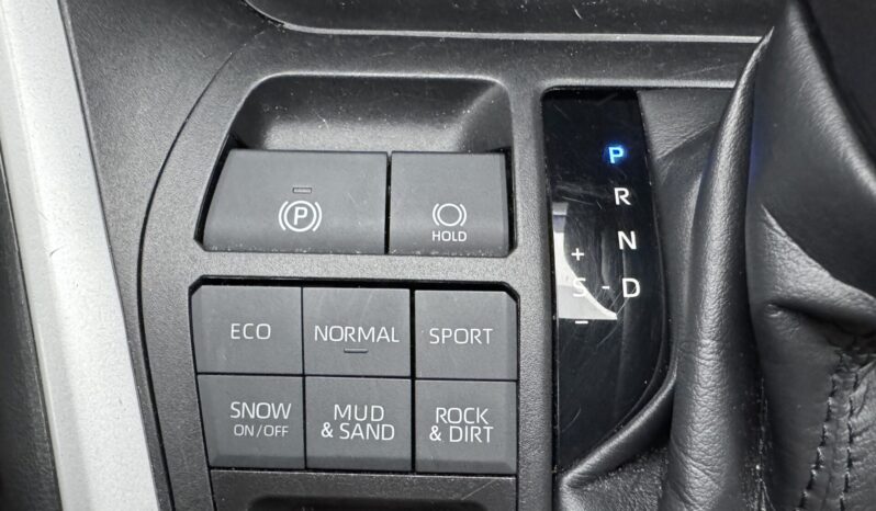 2023 Toyota RAV4 LE full