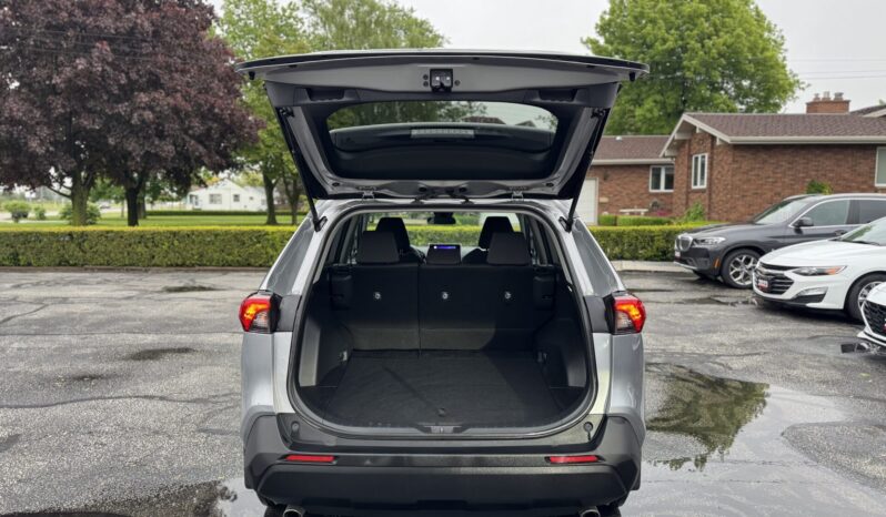 2023 Toyota RAV4 LE full