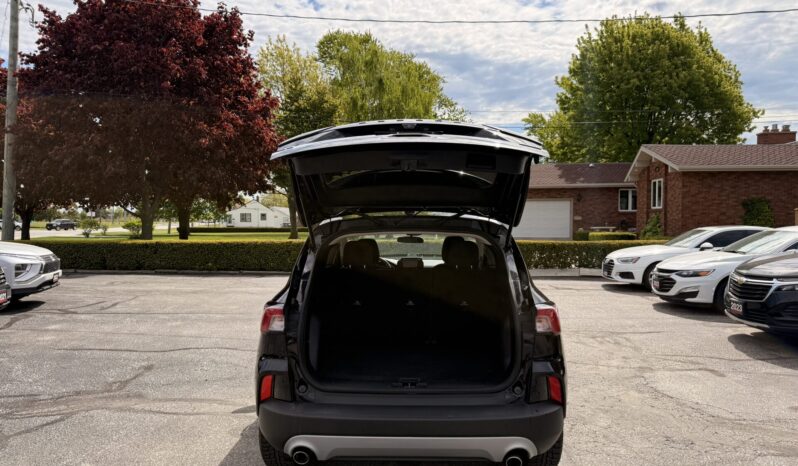 2020 Ford Escape SE full