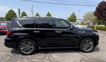 2019 Infiniti QX80 LUXE full