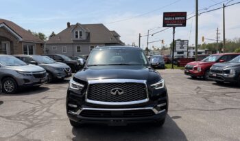 2019 Infiniti QX80 LUXE full